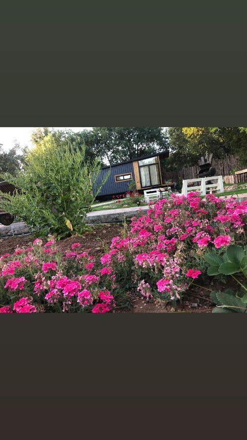 Tiny House Kayakoey Kumquat Hotel Exterior photo